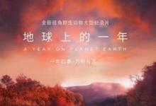 地球上的一年全集 2022高分纪录 HD1080P 迅雷下载-沐风文化