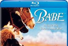 1995家庭奇幻《小猪宝贝》HD720P 迅雷下载-沐风文化