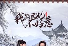 2023国剧《我的医妃不好惹3》全集 HD1080P 迅雷下载-沐风文化