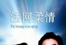 1988港剧《法网柔情》全集 1HD720P 迅雷下载-沐风文化