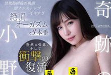 FLNS-414 欢迎回来！魅惑御姐系女优“小野夕子”禁欲300天奇迹复活……-沐风文化